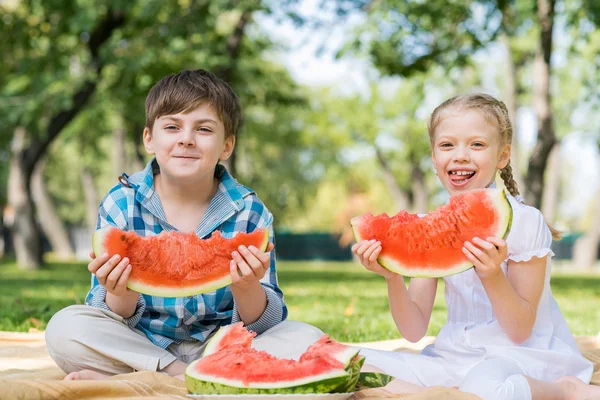 Picnic in park — Stock Photo, Image