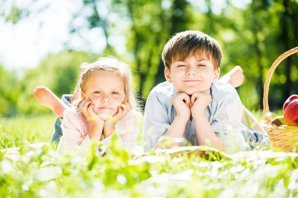 Niños en el picnic — Foto de Stock