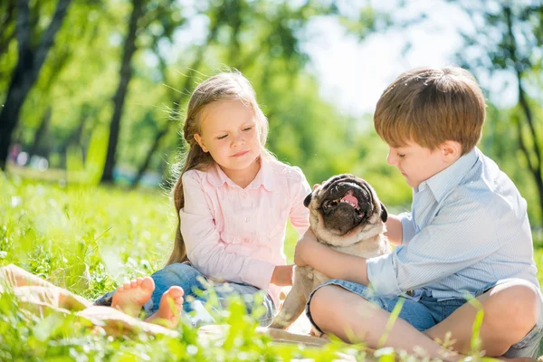 Children in park with pet — Stock Photo, Image