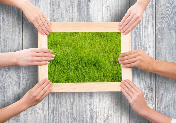 Frame with grass — Stock Photo, Image