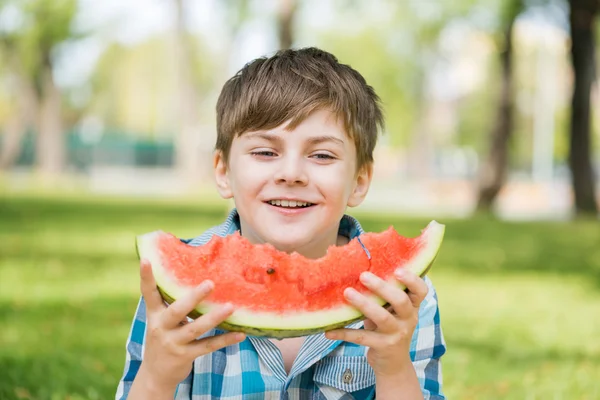 Picknick i parken — Stockfoto