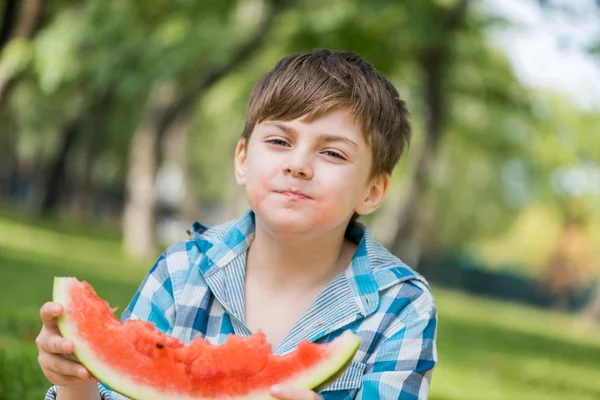 Parkta piknik — Stok fotoğraf