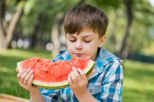 Picknick i parken — Stockfoto