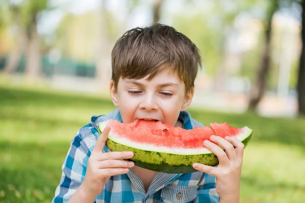 Picnic in park — Stock Photo, Image