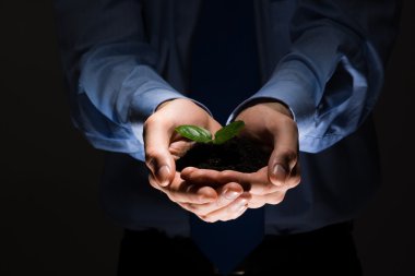 Holding işadamı eller Filiz