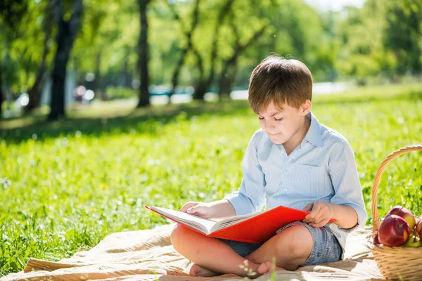 Menino no parque de verão — Fotografia de Stock