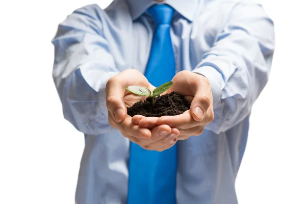 Businessman hands holding sprout — Stock Photo, Image