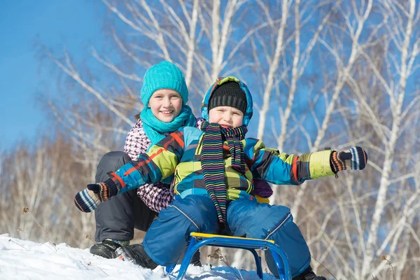 Dos lindos niños montando trineo — Foto de Stock