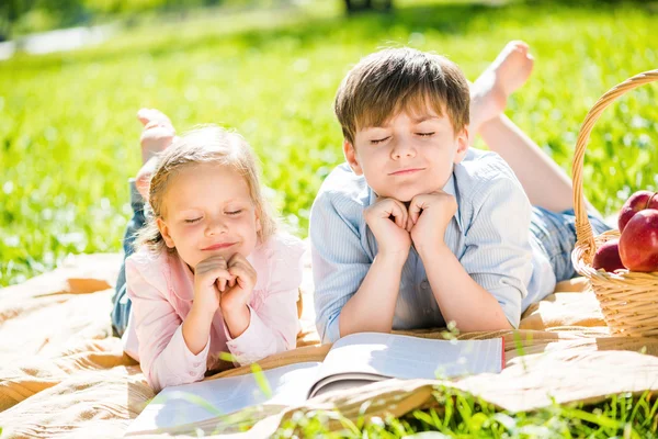 Дети на пикнике в парке — стоковое фото