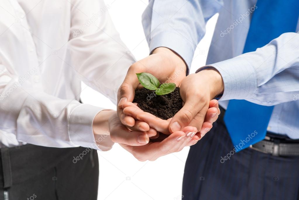 Unity of businesspeople - Sprout in hands