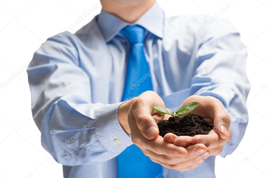 Businessman hands holding sprout