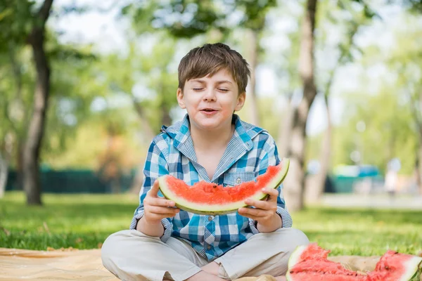 Picknick i parken — Stockfoto