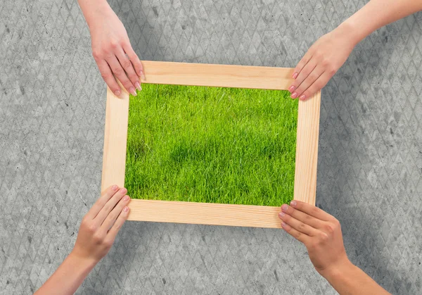 Wooden frame with grass — Stock Photo, Image