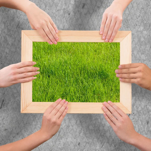 Wooden frame with grass — Stock Photo, Image