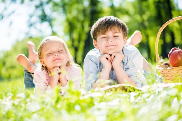 Kinderen op picnic in park — Stockfoto