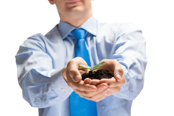 Businessman hands holding sprout — Stock Photo, Image