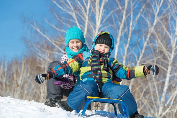 Twee schattige kinderen slee rijden — Stockfoto