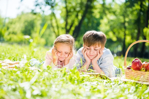 公園でのピクニックで子供たち — ストック写真