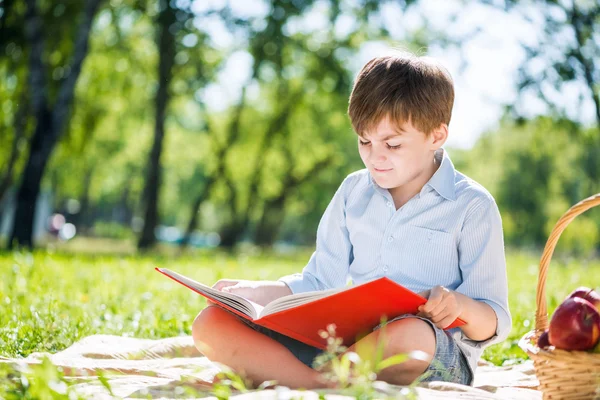 Niño en el parque de verano — Foto de Stock