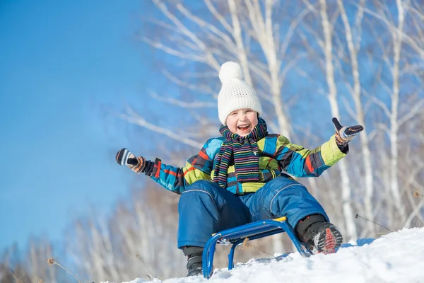 Little cute boy riding sled — Stock Photo, Image