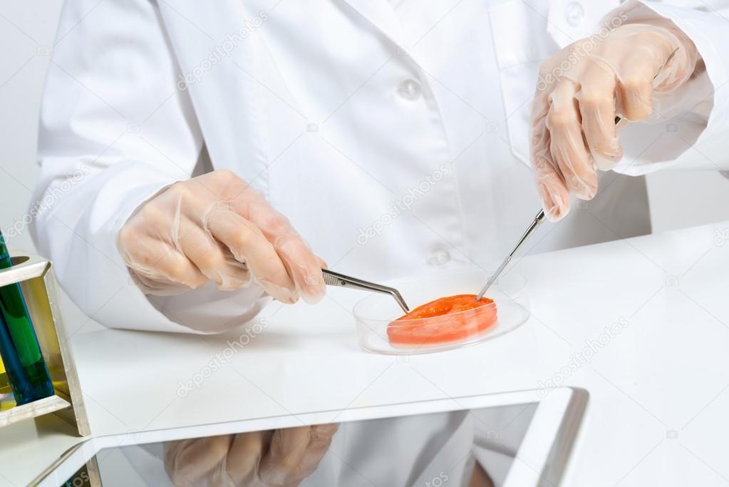 female scientist hands making tests