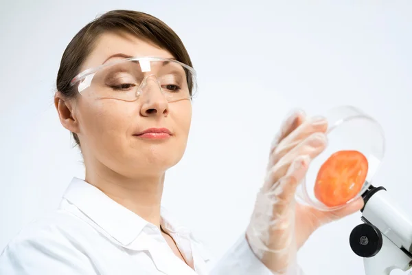 Scienziato femminile che fa test — Foto Stock