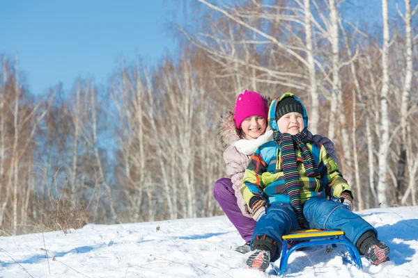 Kids riding sled — Stock Photo, Image