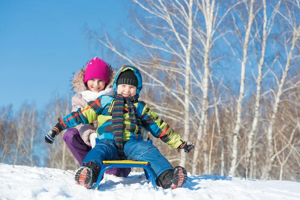 Kinder fahren Schlitten — Stockfoto