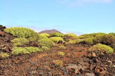 Volkanik peyzaj İspanyol Kanarya Adası Lanzarote