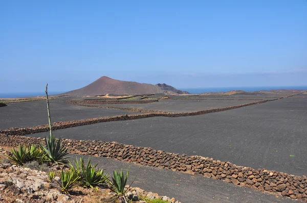 Paisagem vulcânica estéril na ilha canária espanhola Lanzarote — Fotografia de Stock