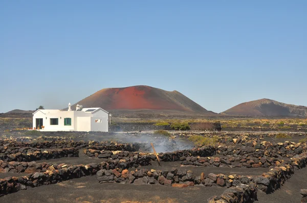 Einzelnes weißes Bungalowhaus auf der spanischen Vulkaninsel Lanzarote — Stockfoto