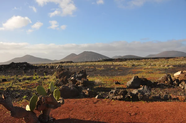 Karge Vulkanlandschaft auf der spanischen Kanareninsel Lanzarote — Stockfoto