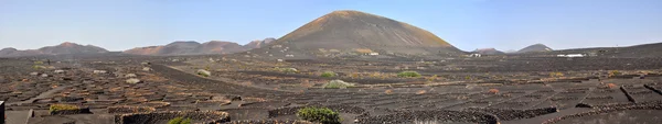 Panoramablick über die vulkanische landwirtschaftliche Lavalandschaft mit Windschutz auf der spanischen Kanareninsel Lanzarote — Stockfoto