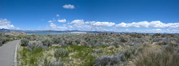 Táj, a Dél-Tufa, Mono-tó - California — Stock Fotó