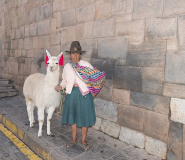 Yerli bir kadın Cuzco Peru 'da bir sokakta lama tutuyor..
