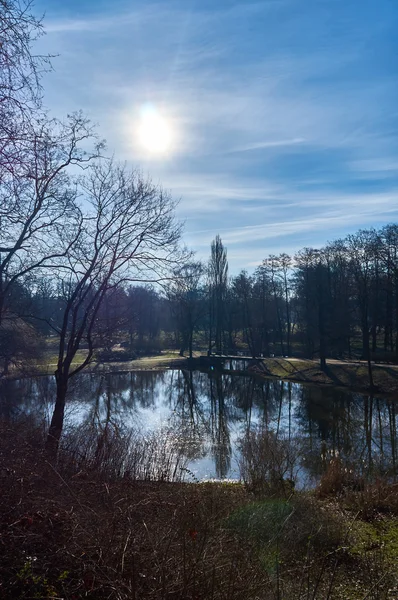 Королевский парк Лазенки, Варшава, Польша — стоковое фото