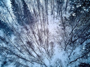Bir kar yağışı sırasında Stolowe dağlarındaki kış manzarasında güzel panoramik hava aracı manzarası. Stolowe Dağları Ulusal Parkı, Polonya, Avrupa.