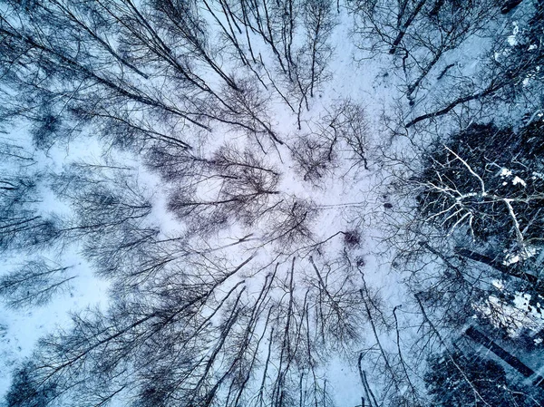 Bella Vista Panoramica Drone Aereo Paesaggio Invernale Nelle Montagne Stolowe — Foto Stock