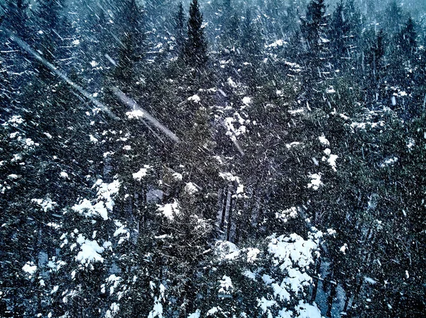 Krásný Panoramatický Výhled Zimní Krajinu Stolových Horách Během Sněžení Národní — Stock fotografie