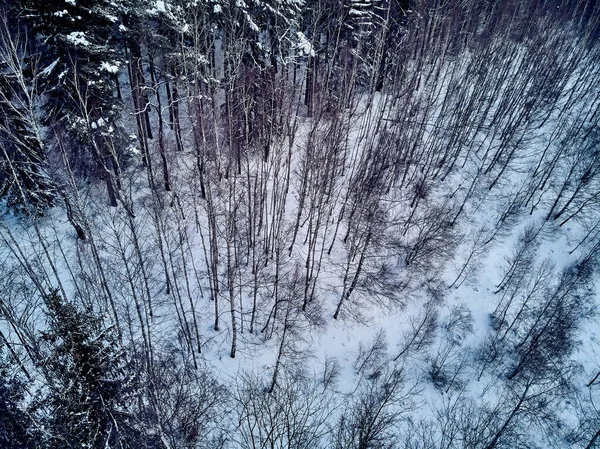 Панорамный Вид Дрона Зимний Пейзаж Горах Штеве Время Снегопада Национальный — стоковое фото