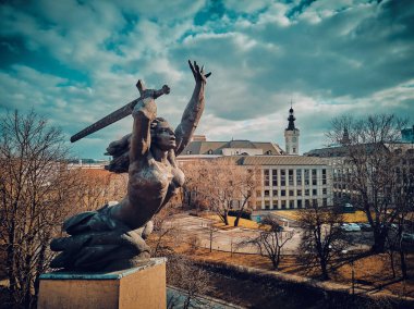 Varşova Kahramanları Anıtı 'nın güzel panoramik hava aracı görüntüsü, diğer adıyla Varşova Nike, Polonya, AB