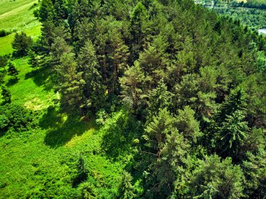 Güneşli bir günde Polonya 'nın Pieniny Ulusal Parkı' nın güzel panoramik manzarası. Sokolica ve Trzy Korony - İngilizce: Üç Crowns (Üç Crowns Massif Zirvesi))
