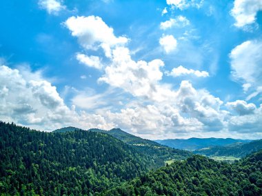 Güneşli bir günde Polonya 'nın Pieniny Ulusal Parkı' nın güzel panoramik manzarası. Sokolica ve Trzy Korony - İngilizce: Üç Crowns (Üç Crowns Massif Zirvesi))
