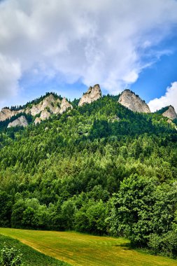 Güneşli bir günde Polonya 'nın Pieniny Ulusal Parkı' nın güzel panoramik manzarası Trzy Korony - İngilizce: Üç Crown (Üç Crown Massif Zirvesi), Polonya