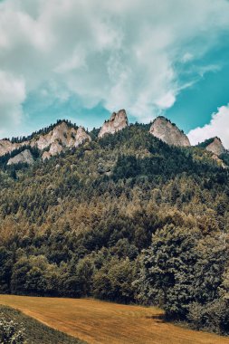 Güneşli bir günde Polonya 'nın Pieniny Ulusal Parkı' nın güzel panoramik manzarası Trzy Korony - İngilizce: Üç Crown (Üç Crown Massif Zirvesi), Polonya