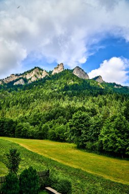 Güneşli bir günde Polonya 'nın Pieniny Ulusal Parkı' nın güzel panoramik manzarası Trzy Korony - İngilizce: Üç Crown (Üç Crown Massif Zirvesi), Polonya