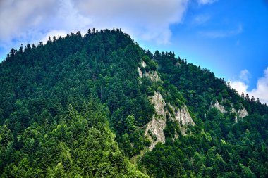 Güneşli bir günde Polonya 'nın Pieniny Ulusal Parkı' nın güzel panoramik manzarası Trzy Korony - İngilizce: Üç Crown (Üç Crown Massif Zirvesi), Polonya