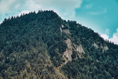 Güneşli bir günde Polonya 'nın Pieniny Ulusal Parkı' nın güzel panoramik manzarası Trzy Korony - İngilizce: Üç Crown (Üç Crown Massif Zirvesi), Polonya