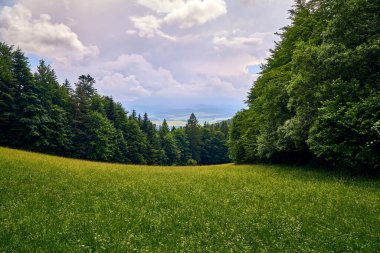 Güneşli bir günde Polonya 'nın Pieniny Ulusal Parkı' nın güzel panoramik manzarası. Sokolica ve Trzy Korony - İngilizce: Üç Crowns (Üç Crowns Massif Zirvesi))