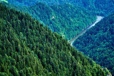 Sokolica ve Trzy Korony 'den güneşli bir günde Polonya' nın Pieniny Ulusal Parkı 'nın güzel panoramik manzarası - İngilizce: Three Crowns (Üç Crowns Massif Zirvesi) on the Dunajec River